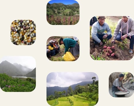 Resources collage of photos